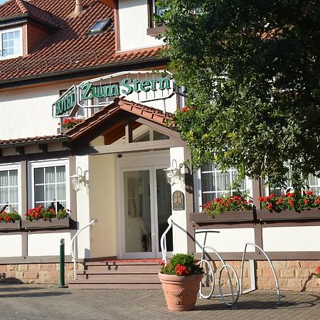 Parkhotel Zum Stern Oberaula Buitenkant foto