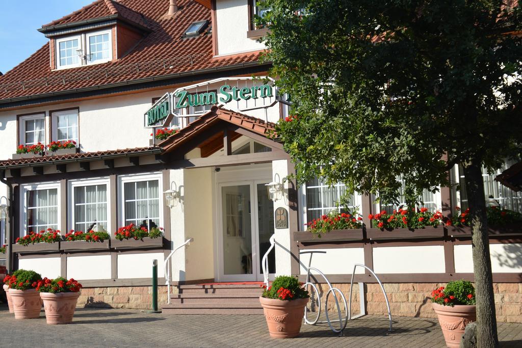 Parkhotel Zum Stern Oberaula Buitenkant foto